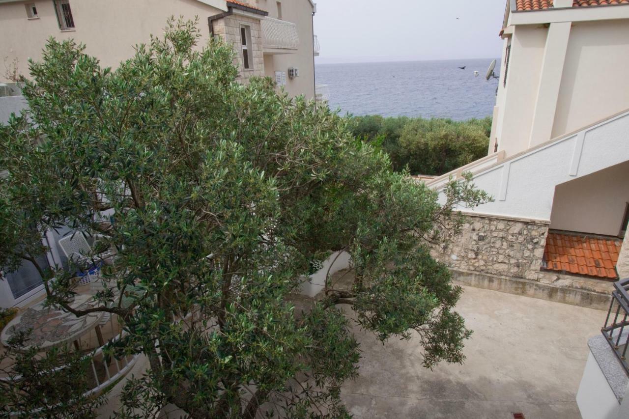 Apartments Delfin Tučepi エクステリア 写真
